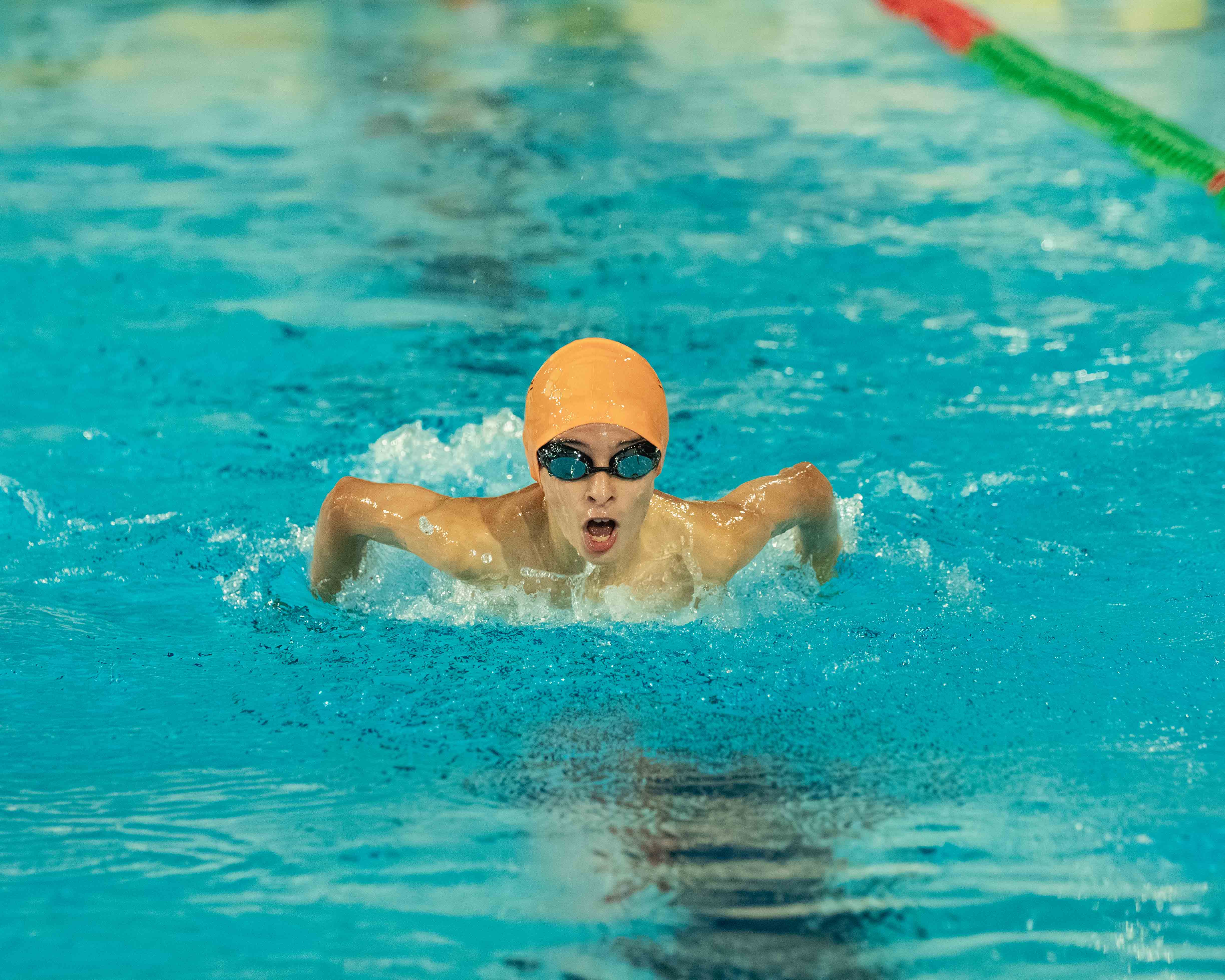 Hamilton Aquatics Development Series 2025 - 2026