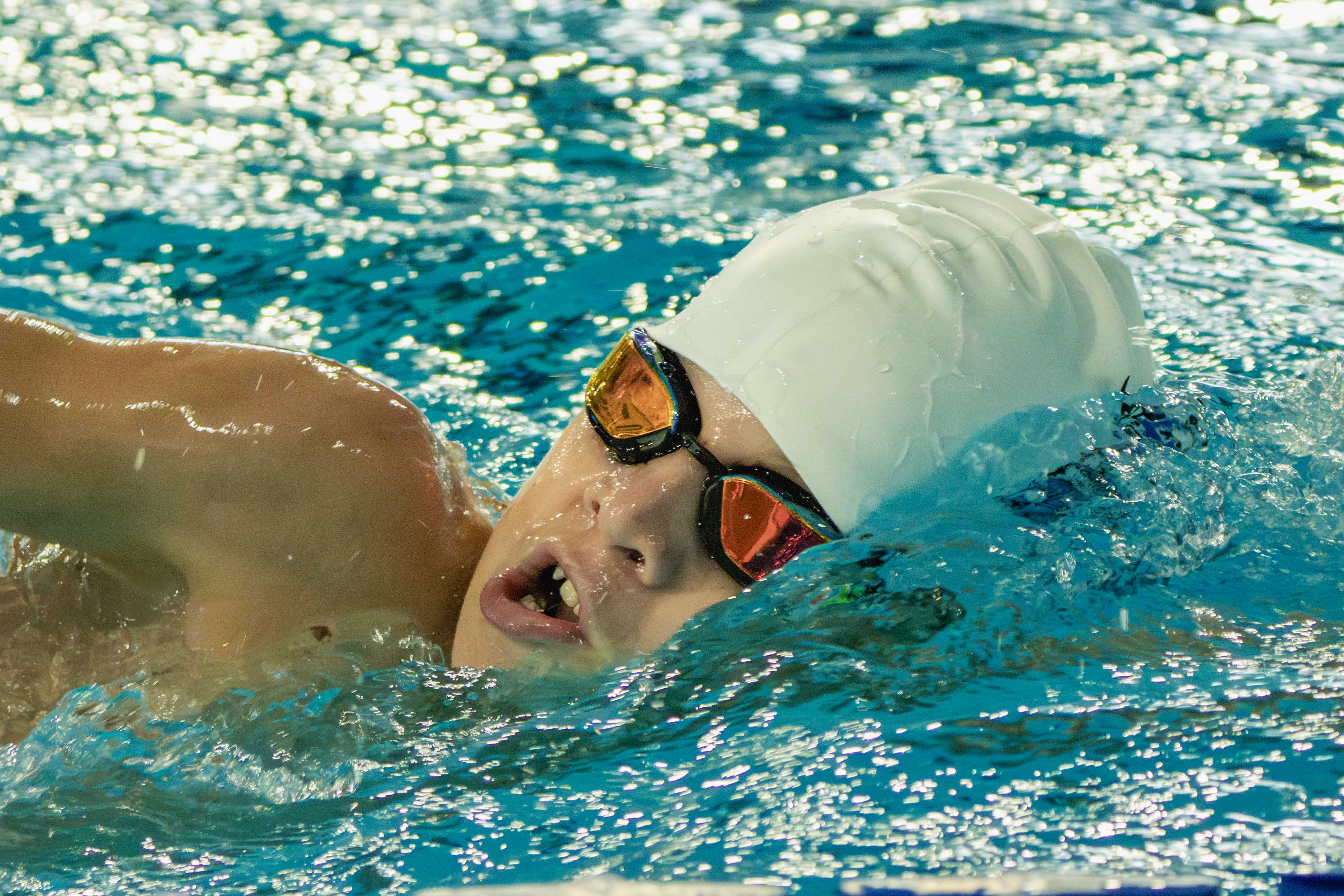 Hamilton Aquatics Development Series 2025 - 2026